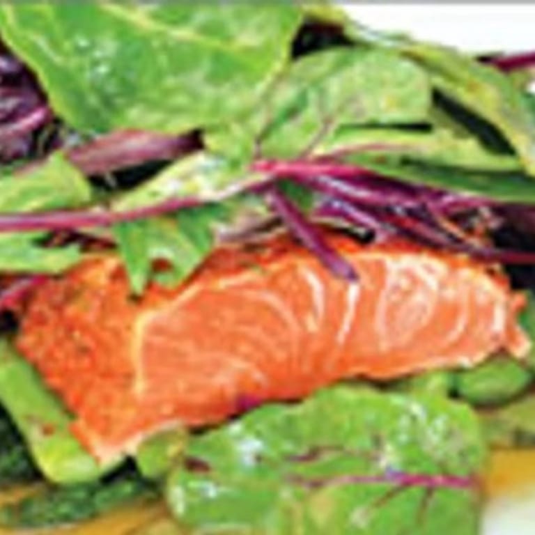 Delicious Salmon Dishes